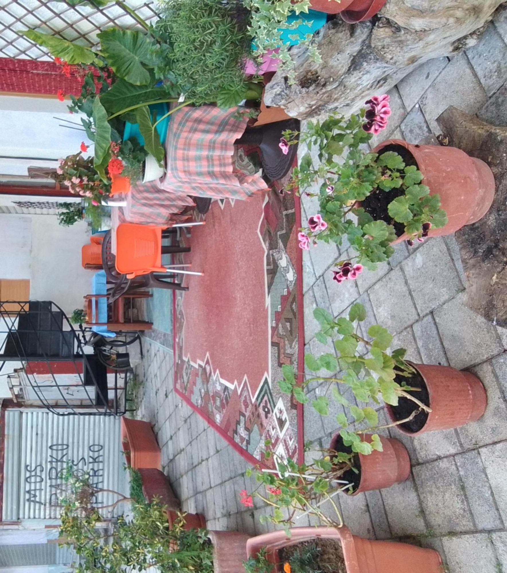 Хостел Casa Mia Влёра Экстерьер фото